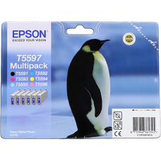 Epson Branded T5597 - 6 Colour Ink Cartridge Set. Epson Branded T5597 - 6 Colour Ink Cartridge Set.