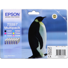 Epson Branded T5597 - 6 Colour Ink Cartridge Set.