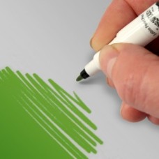 Food Art Pen - Holly Green, with a fine and a broad nib. - 2 pens in 1.